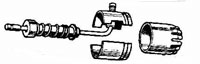 pg1100Specials/small/horn.jpg